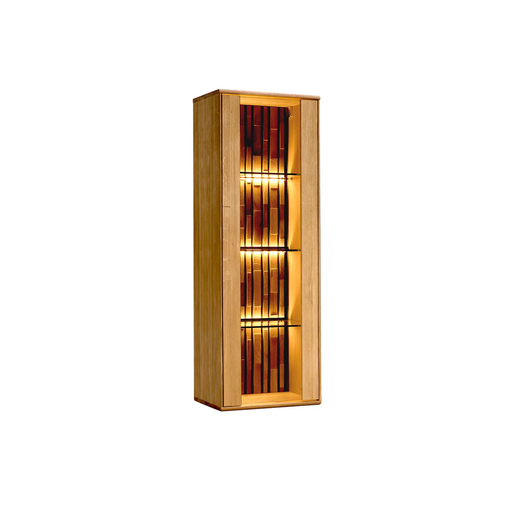 Hängevitrine mit Glas und Beleuchtung