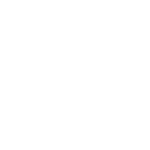 Illustrierte Holzscheibe einer Eiche