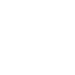 Illustrierte Holzscheibe einer Fichte