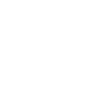 Illustrierte Holzscheibe einer Kernbuche