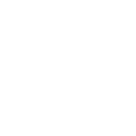 Illustrierte Holzscheibe einer Kiefer 
