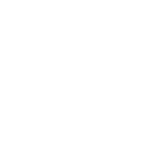 Illustrierte Holzscheibe eines Mango Baumes